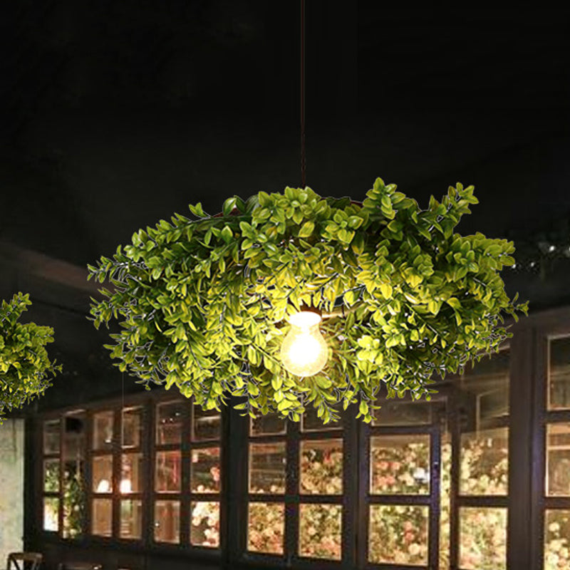 Modern Metal Black Ceiling Light With Exposed Bulb - Retro Led Suspension Lighting Fixture Plant