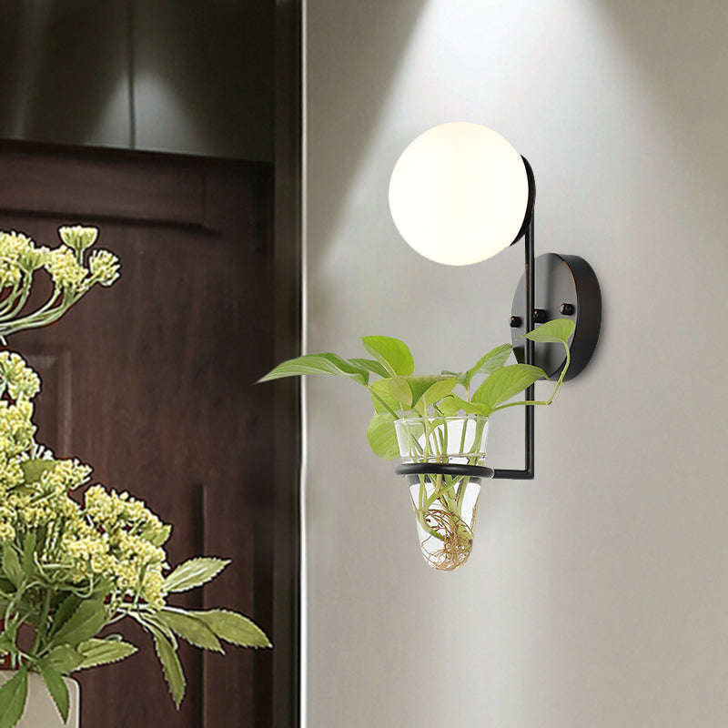Industrial Global Cream/Smoke Gray Glass Wall Sconce Lamp With Clear Plant Cup - Black/Gold Finish
