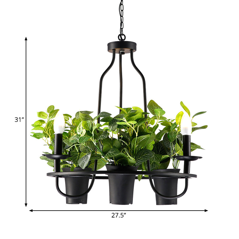 Vintage Bonsai Ceiling Chandelier with Iron Pendant Light in Black, 3/6 Bulbs, 1/2-Layer Design, 19.5"/27.5" Width