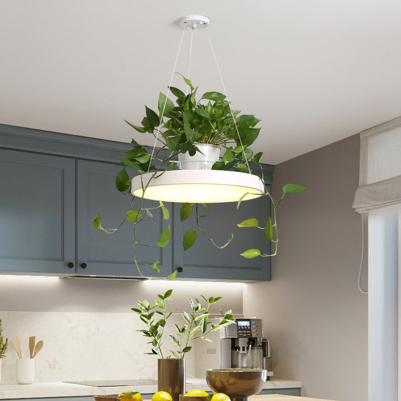 Macaron Round Hanging Light Acrylic LED Pendant Lighting Fixture in Black/Grey/White with Top Plant Pot