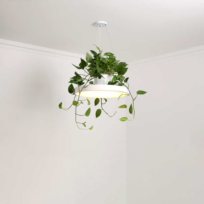 Macaron Round Hanging Light Acrylic LED Pendant Lighting Fixture in Black/Grey/White with Top Plant Pot