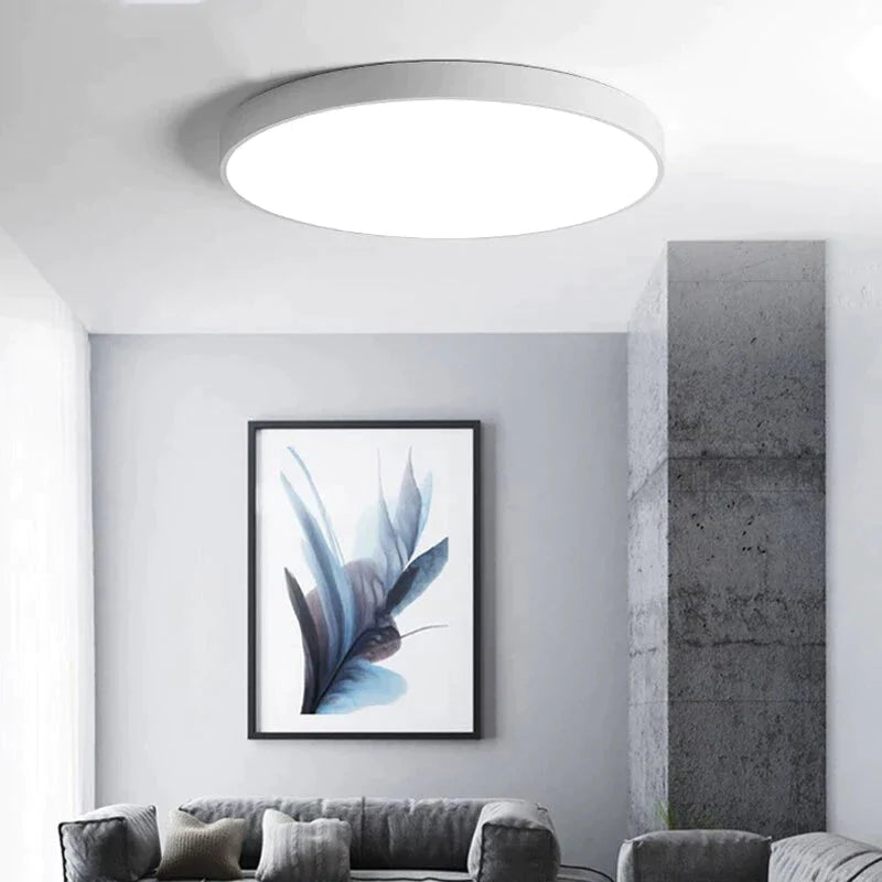 Metal Modern Led Ceiling Light Black&White Simple Led Chandelier Ceiling Lamp For Living Room Bedroom Dining Room Light Fixtures