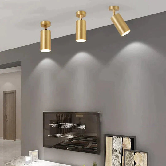 Modern Ceiling Lamp Foyer Copper Spotlight Living Room Led Brass Light Bedroom Wall Lamps Hallway