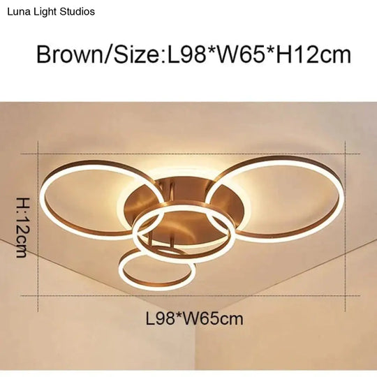 2/3/5/6 Circle Rings Modern Led Ceiling Lights For Living Room Bedroom Study White/Brown Color Lamp