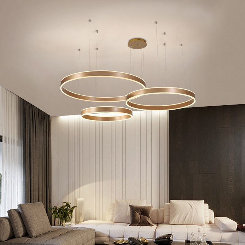 Modern Led Circle Ceiling Light For Simple Living Room Decor Gold / Warm 3