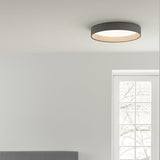 Nordic Led Ceiling Flush Mount Lamp With Acrylic Diffuser For Kitchen