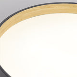 Nordic Led Ceiling Flush Mount Lamp With Acrylic Diffuser For Kitchen