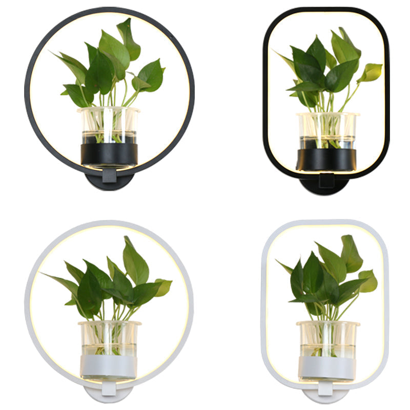 Nordic Acrylic Bedside Led Wall Lamp - Ring Shaped Sconce Lighting With Glass Plant Cup Black / Warm