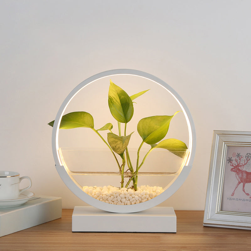 Nordic Circle Table Lamp With Hydroponics Plant Pot Design And Led Night Light White / Warm