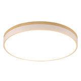 Minimalistic Flush Mount Ceiling Light - 1 Acrylic Disk Design