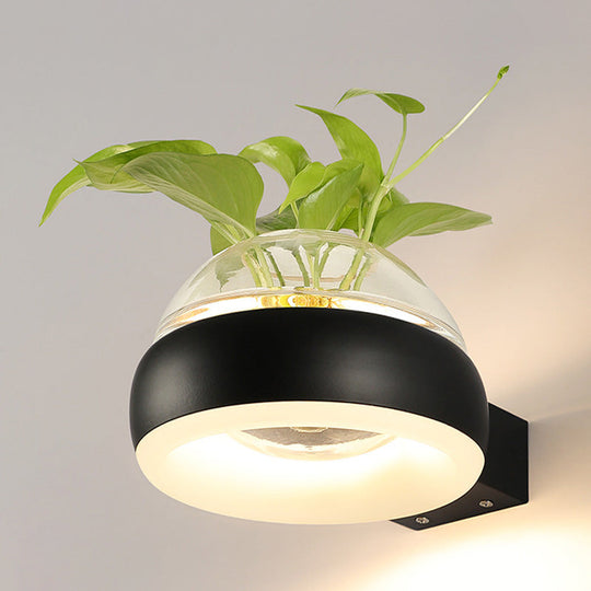Industrial Clear Glass Dome Wall Sconce With Led Lighting And Plant Container In Black/Grey/White