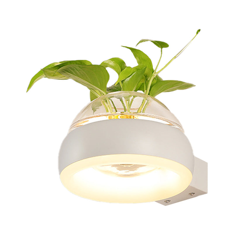 Industrial Clear Glass Dome Wall Sconce With Led Lighting And Plant Container In Black/Grey/White