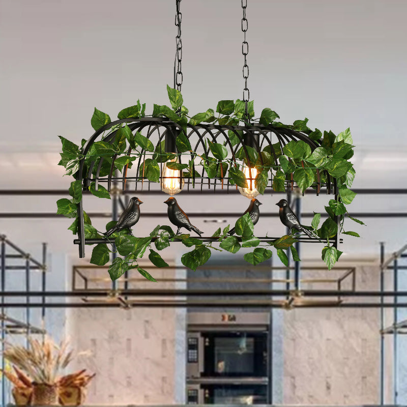 Retro Birdcage Island Light Fixture - Metal Led Plant Ceiling Lamp In Black With 2/3/4 Bulbs
