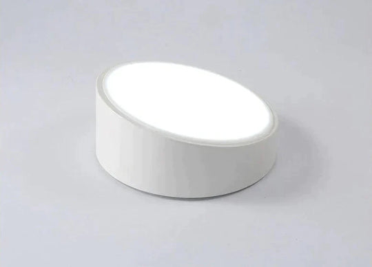 Modern Minimalist Led Ceiling Lamp For Living Room And Bedroom Warm Light / 25 Cm White