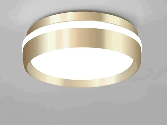 Modern Minimalist Gateway Round Gold Led Small Ceiling Lamp Golden / 12W White Light