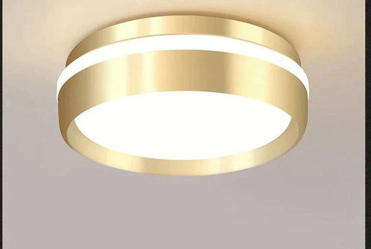 Modern Minimalist Gateway Round Gold Led Small Ceiling Lamp Golden / 12W Warm Light