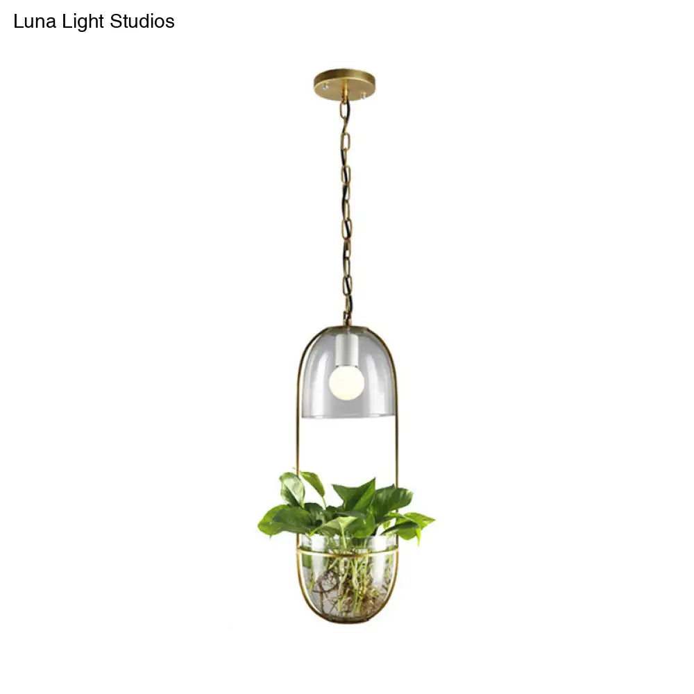 Antique Clear Glass Hemisphere Pendant Light With Gold Oblong Frame And Planter