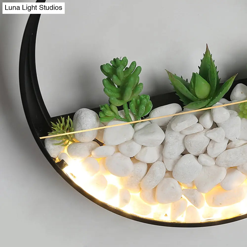 Big O Acrylic Sconce Light With Lovely Faux Succulent & Stone For Living Room Bedroom