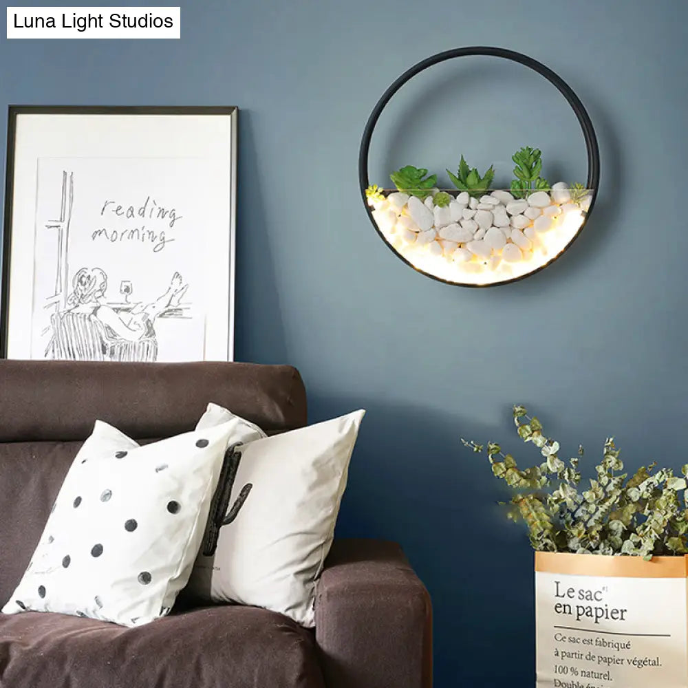 Big O Acrylic Sconce Light With Lovely Faux Succulent & Stone For Living Room Bedroom