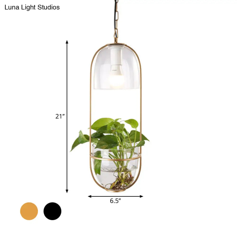 Black/Gold Oblong Pendant Lamp With Clear Glass Shade And Fish Bowl - Perfect For Dorm Rooms Rural