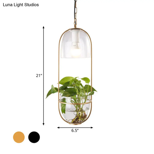 Black/Gold Oblong Pendant Lamp With Clear Glass Shade And Fish Bowl - Perfect For Dorm Rooms Rural