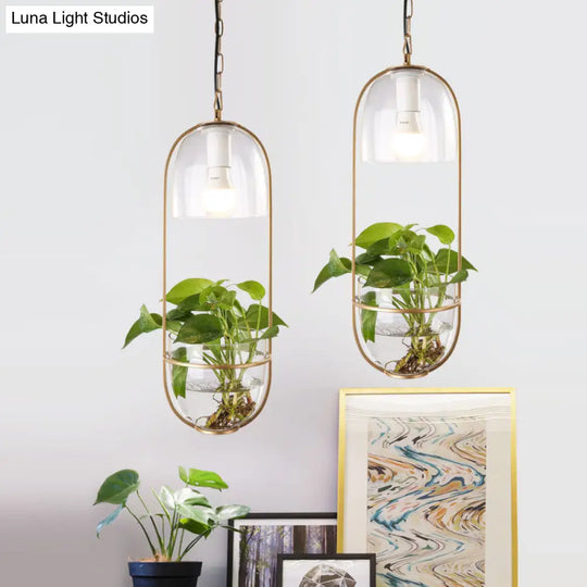 Black/Gold Oblong Pendant Lamp With Clear Glass Shade And Fish Bowl - Perfect For Dorm Rooms Rural