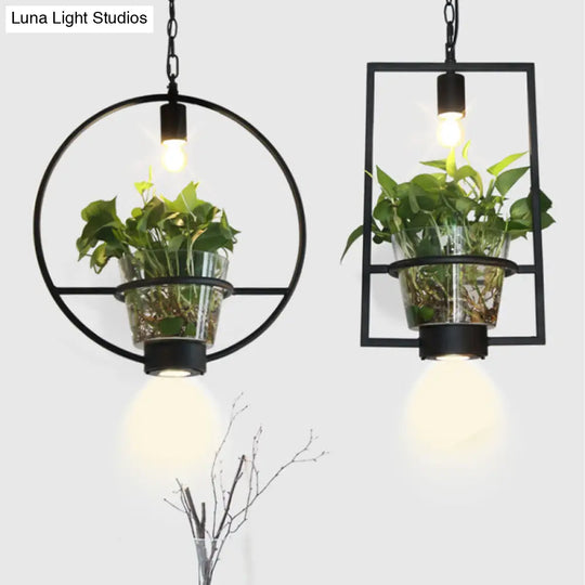 Industrial Cage Drop Pendant With Clear Glass Plant Pot - Black Iron And Down Lighting