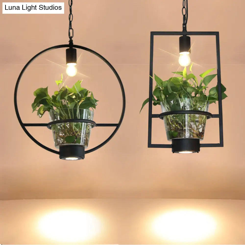 Industrial Cage Drop Pendant With Clear Glass Plant Pot - Black Iron And Down Lighting