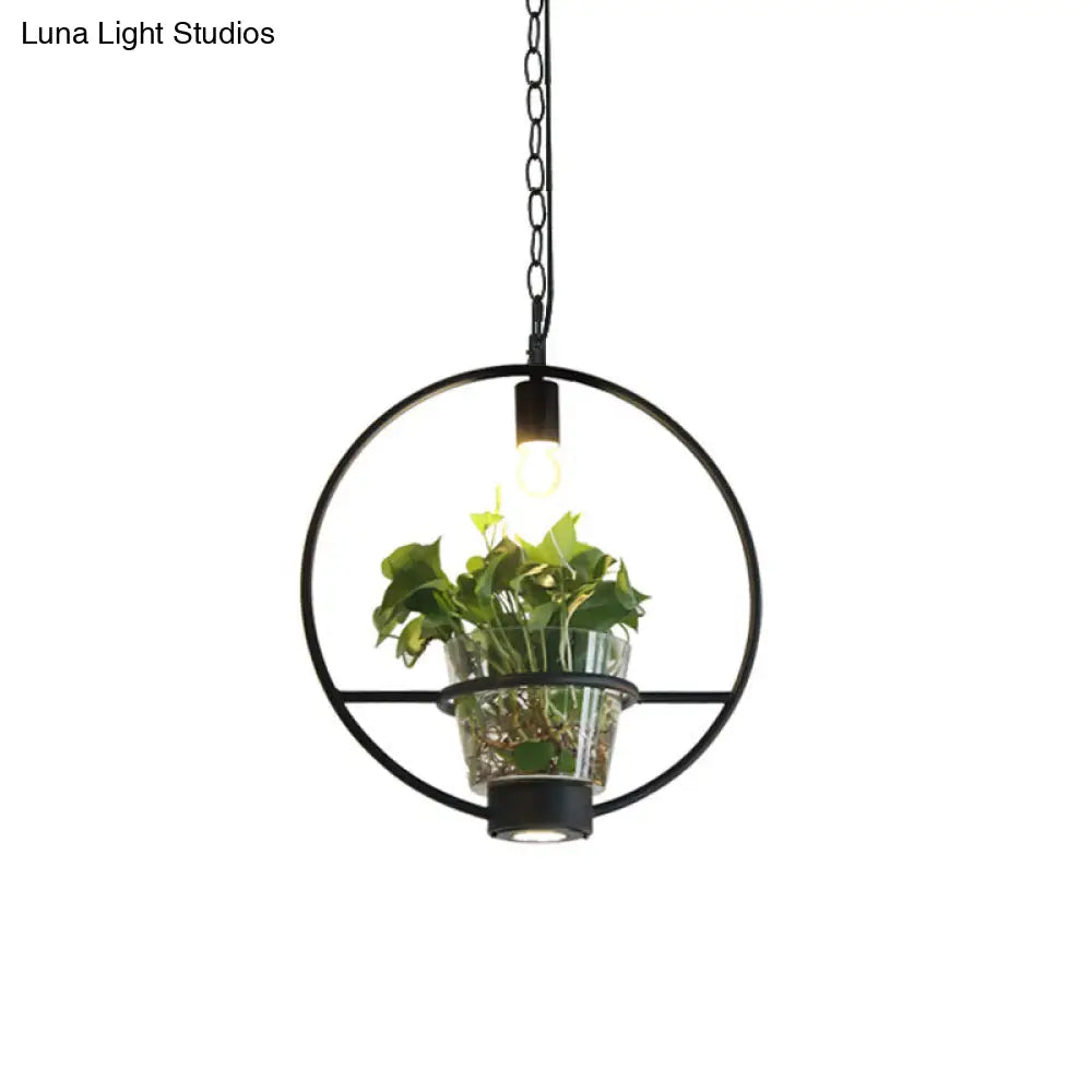 Industrial Cage Drop Pendant With Clear Glass Plant Pot - Black Iron And Down Lighting