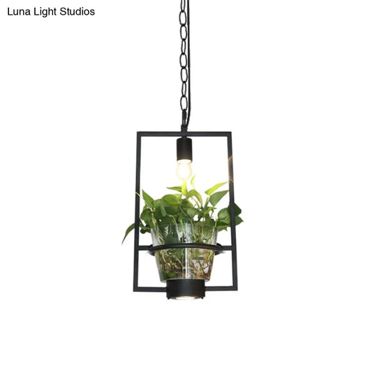 Black Industrial Iron Pendant With Clear Glass Plant Pot: 1 Light Down Lighting Cage Design