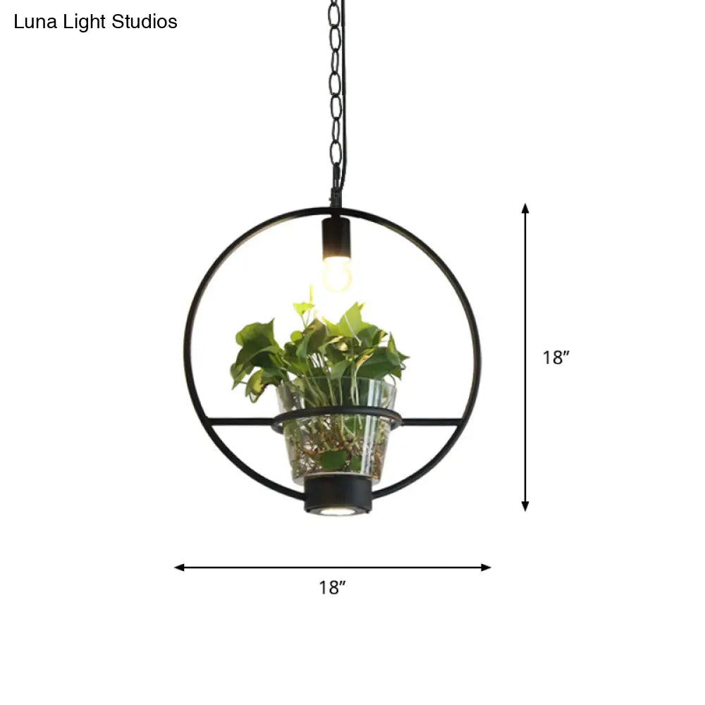 Black Industrial Iron Pendant With Clear Glass Plant Pot: 1 Light Down Lighting Cage Design