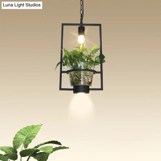 Industrial Cage Drop Pendant With Clear Glass Plant Pot - Black Iron And Down Lighting / D