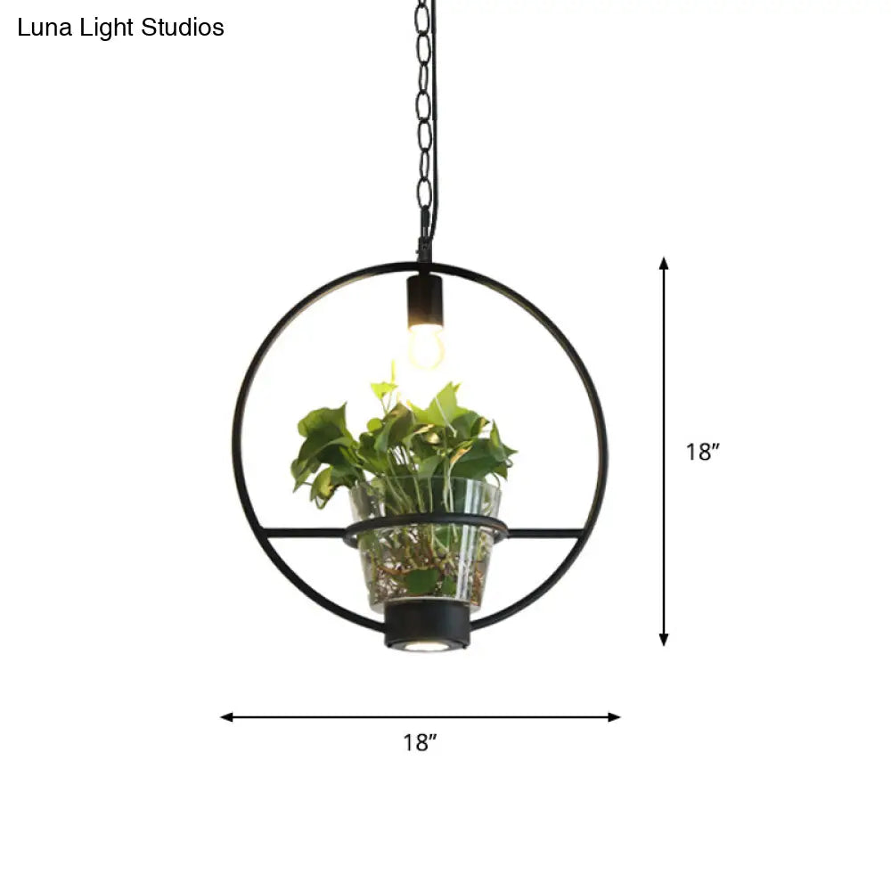 Industrial Cage Drop Pendant With Clear Glass Plant Pot - Black Iron And Down Lighting