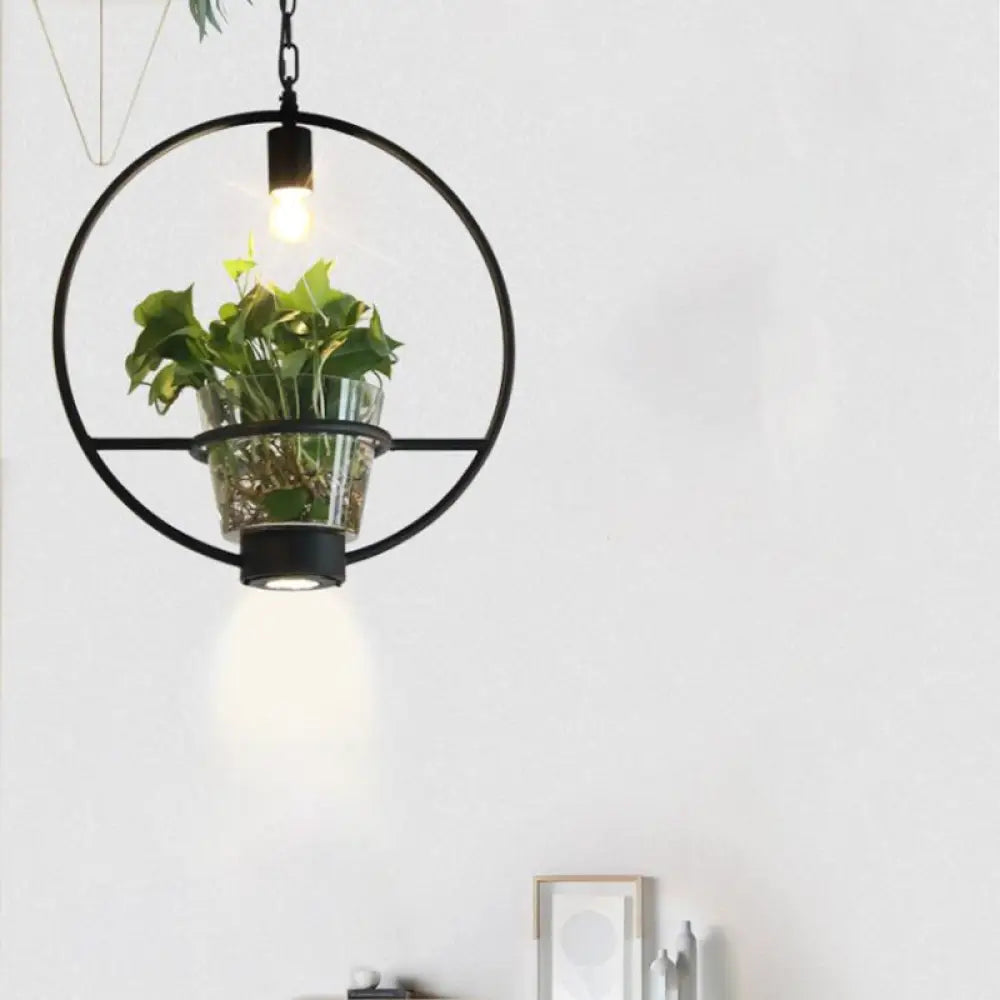 Black Industrial Iron Pendant With Clear Glass Plant Pot: 1 Light Down Lighting Cage Design / B