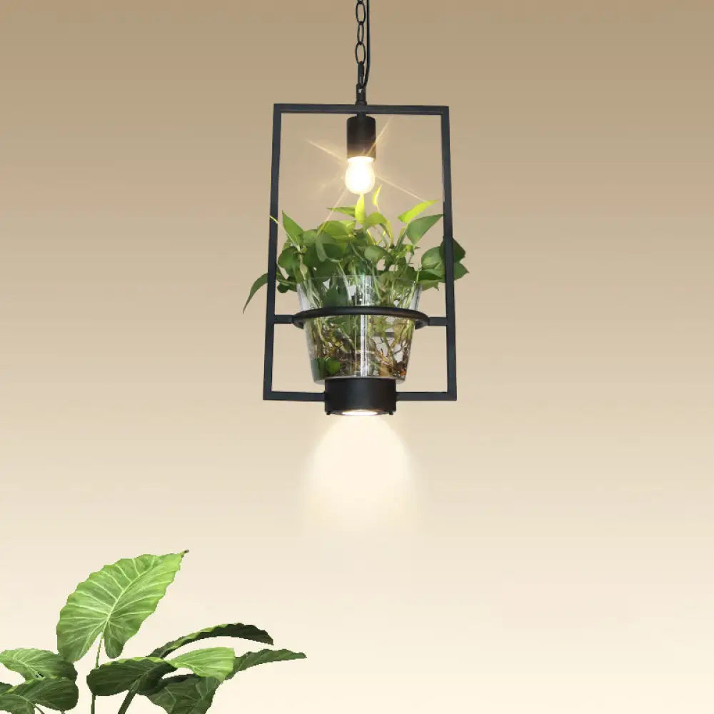 Black Industrial Iron Pendant With Clear Glass Plant Pot: 1 Light Down Lighting Cage Design / D