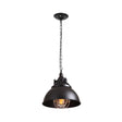 Black Metal Pendant Light With Clear Glass Shade For Living Room Ceiling - Factory-Made Domed