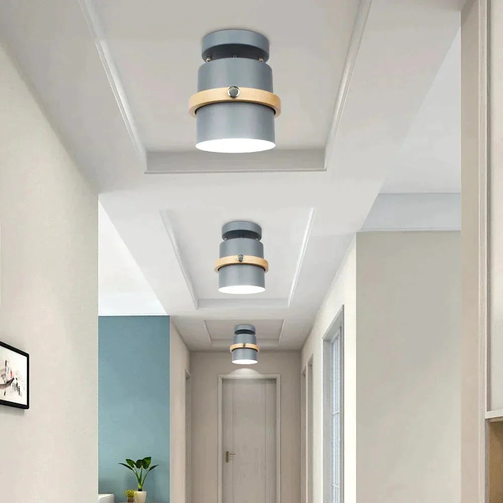 Ceiling Lights Led Lamp Nordic Decoration Home Loft Decor Living Room Modern Bedroom Kitchen Light