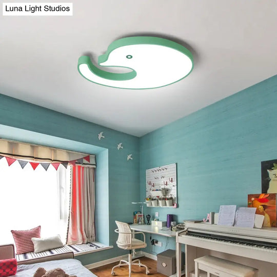 Childrens Led Dolphin Panel Ceiling Light For Lovely Cartoon Bedroom Decor Green / 20.5 White
