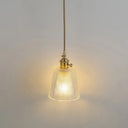 Clear Glass Pendant Lighting Fixture With Simplicity Shaded Hanging Light / A