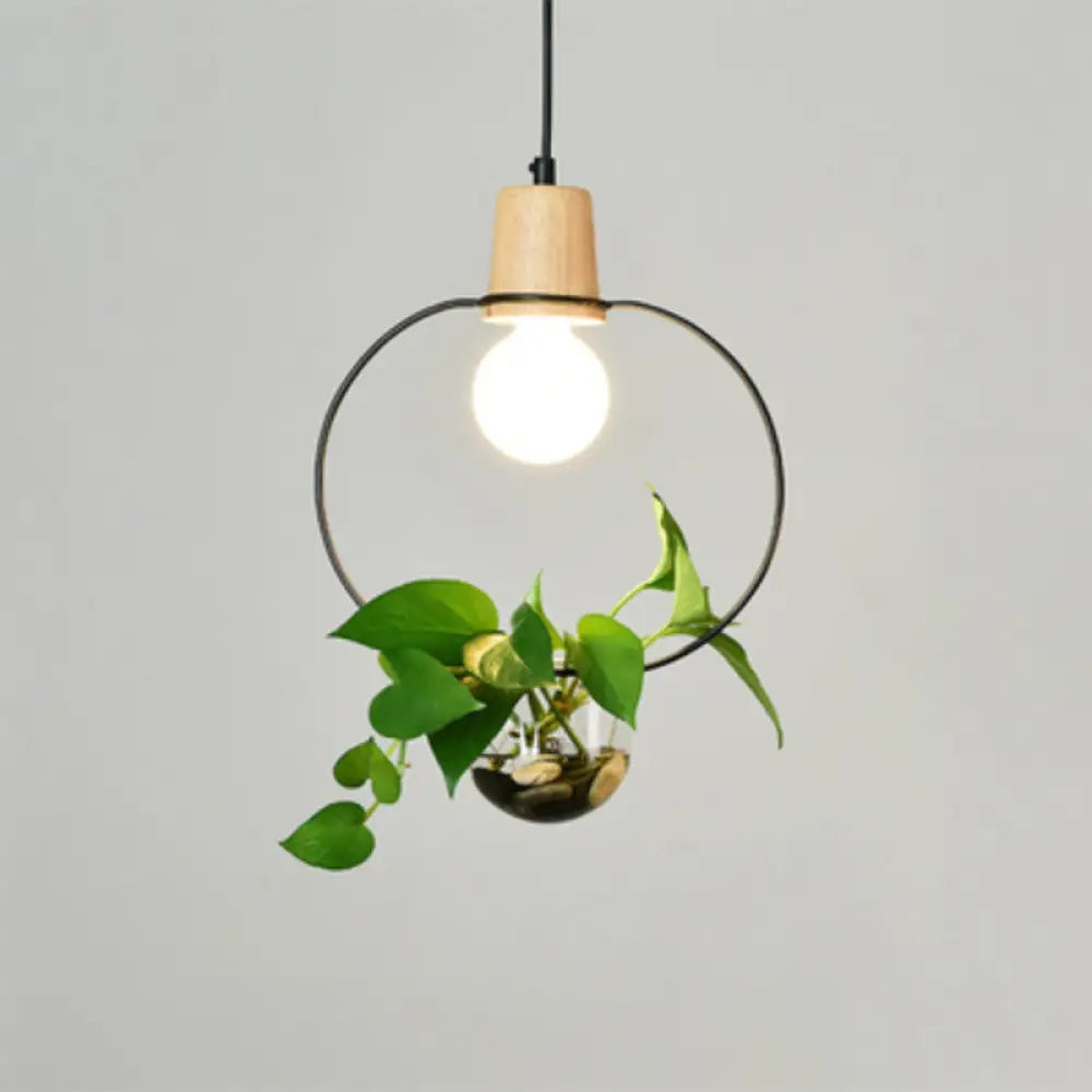 Contemporary Clear Glass Planter Lamp - 1-Light Pendant For Study Room Lighting Black / A