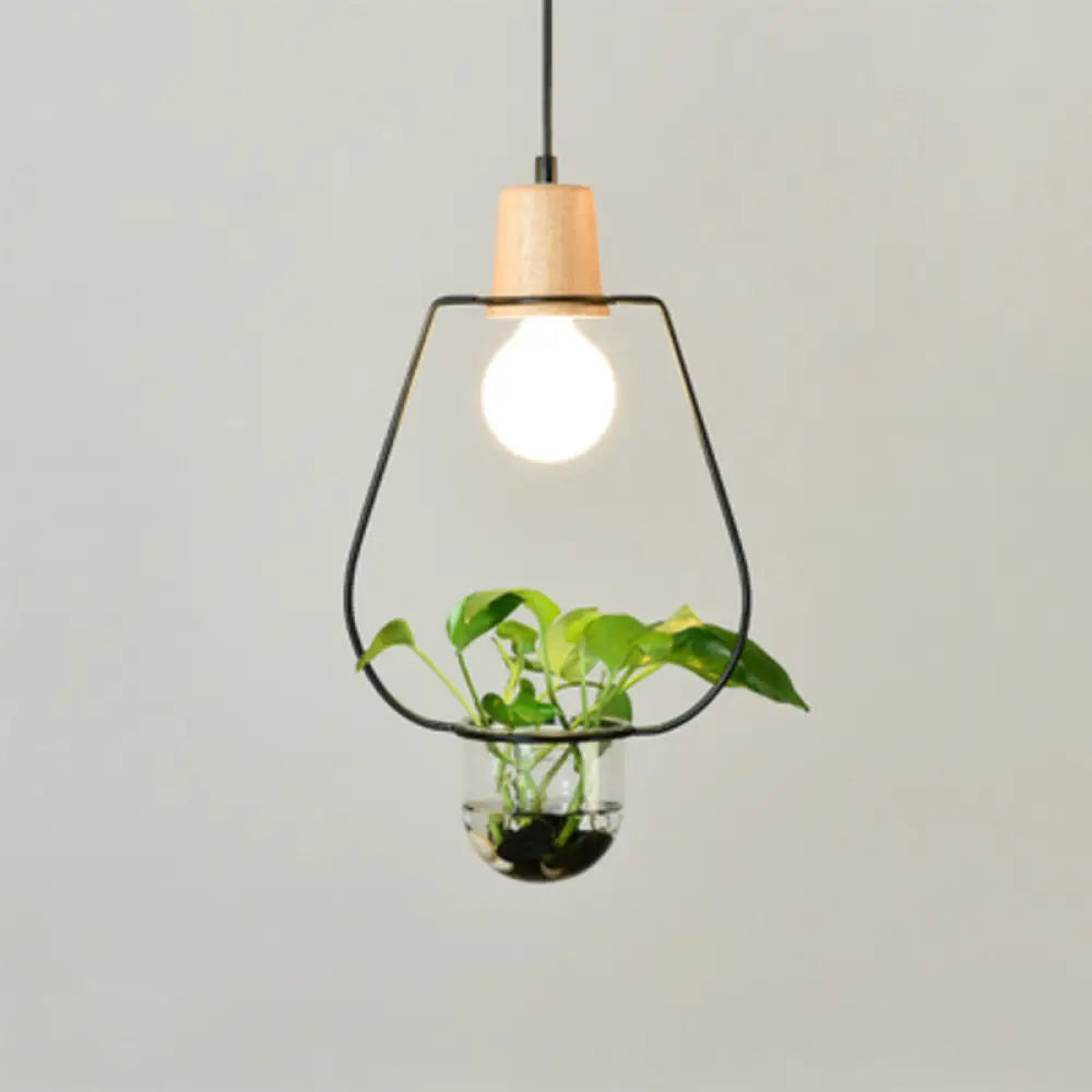 Contemporary Clear Glass Planter Lamp - 1-Light Pendant For Study Room Lighting Black / B