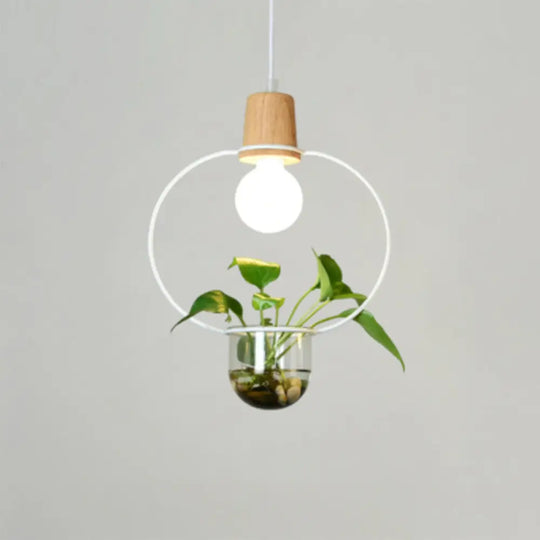 Contemporary Clear Glass Planter Lamp - 1-Light Pendant For Study Room Lighting White / A