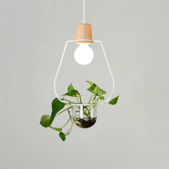 Contemporary Clear Glass Planter Lamp - 1-Light Pendant For Study Room Lighting White / B