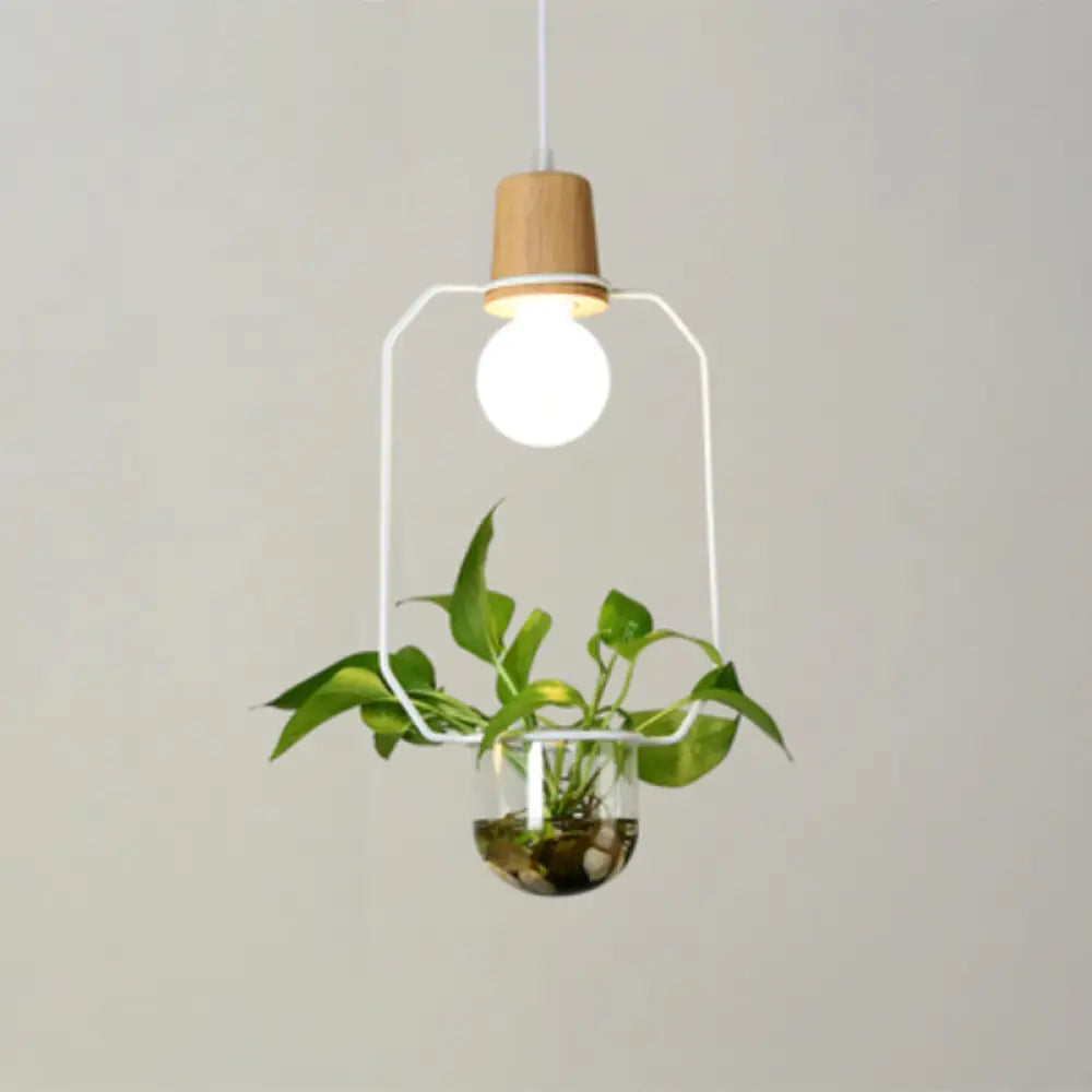 Contemporary Clear Glass Planter Lamp - 1-Light Pendant For Study Room Lighting White / C