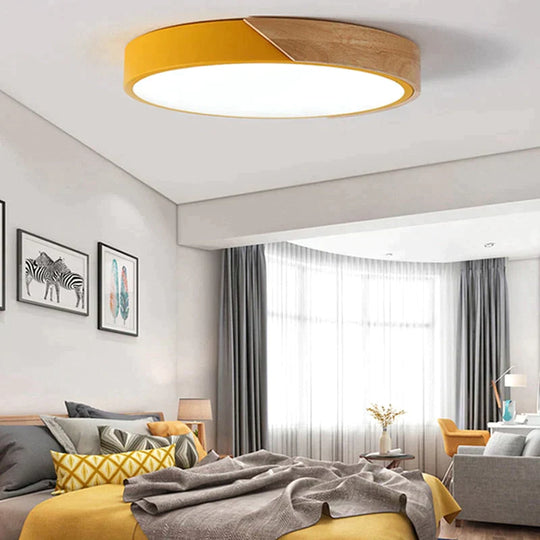Erica -Modern Led Ceiling Light Lamp Living Room Lighting Fixture Bedroom Kitchen Surface Mount