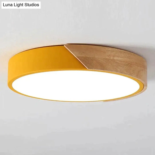 Erica -Modern Led Ceiling Light Lamp Living Room Lighting Fixture Bedroom Kitchen Surface Mount