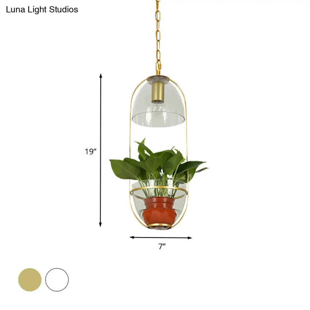 Farmhouse Pendant Lighting Fixture With Clear Glass Bowl And Oval Cage In White/Gold