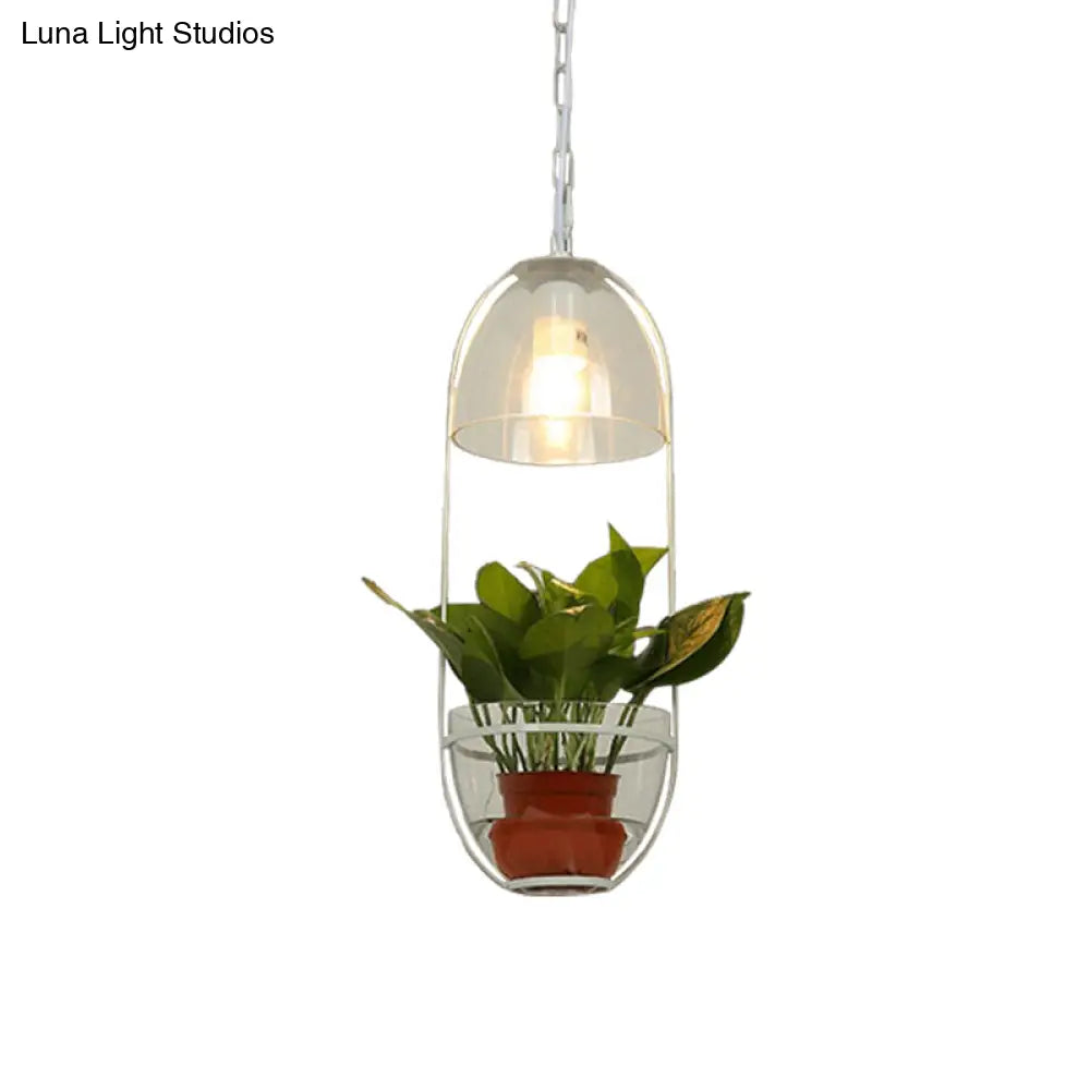 Farmhouse Pendant Light: White/Gold Drop Lamp With Clear Glass Bowl Shade Oval Cage Fixture