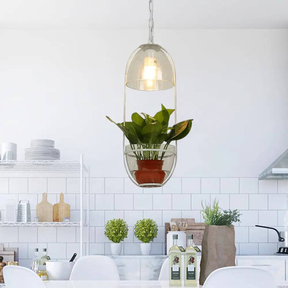 Farmhouse Pendant Light: White/Gold Drop Lamp With Clear Glass Bowl Shade Oval Cage Fixture White