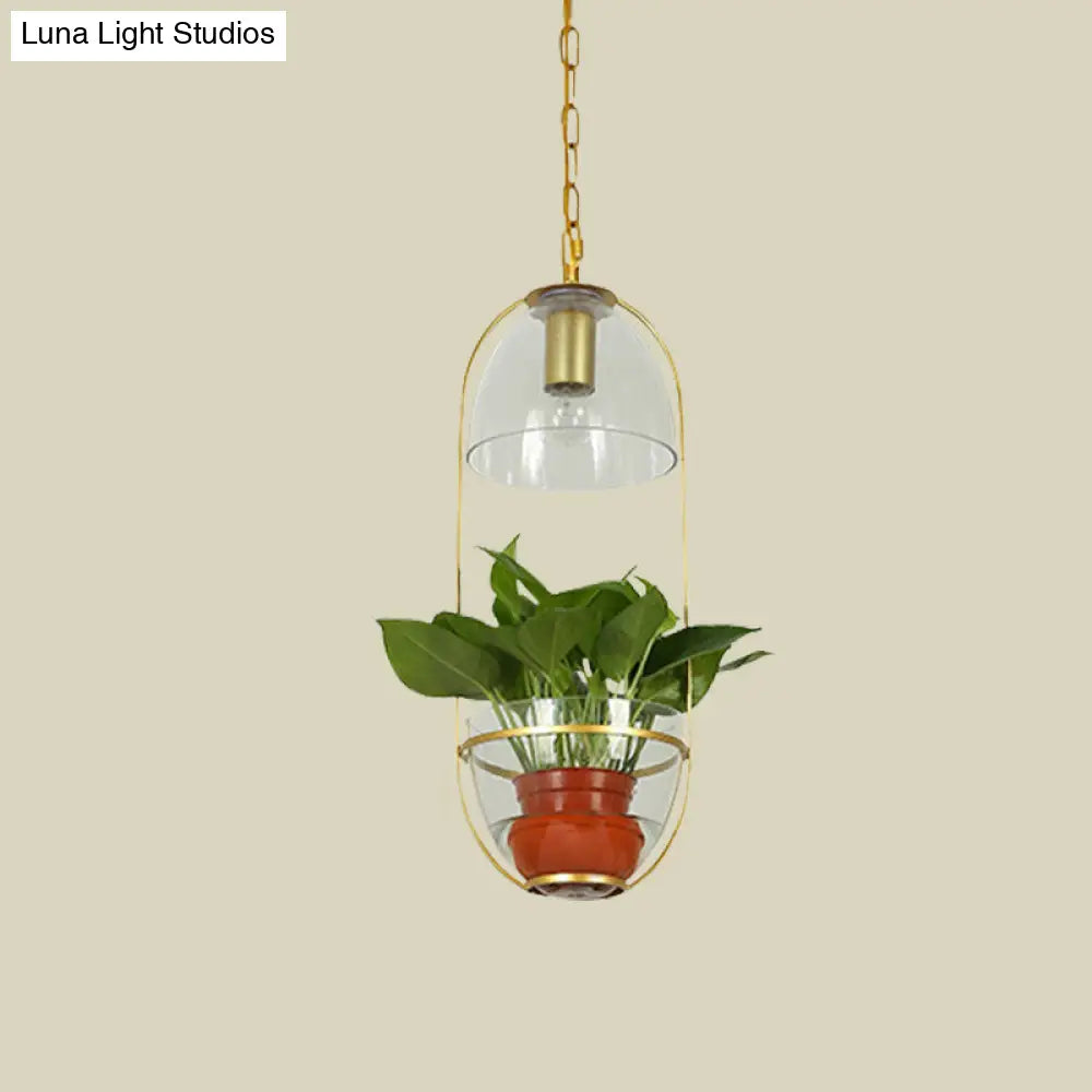 Farmhouse Pendant Light: White/Gold Drop Lamp With Clear Glass Bowl Shade Oval Cage Fixture